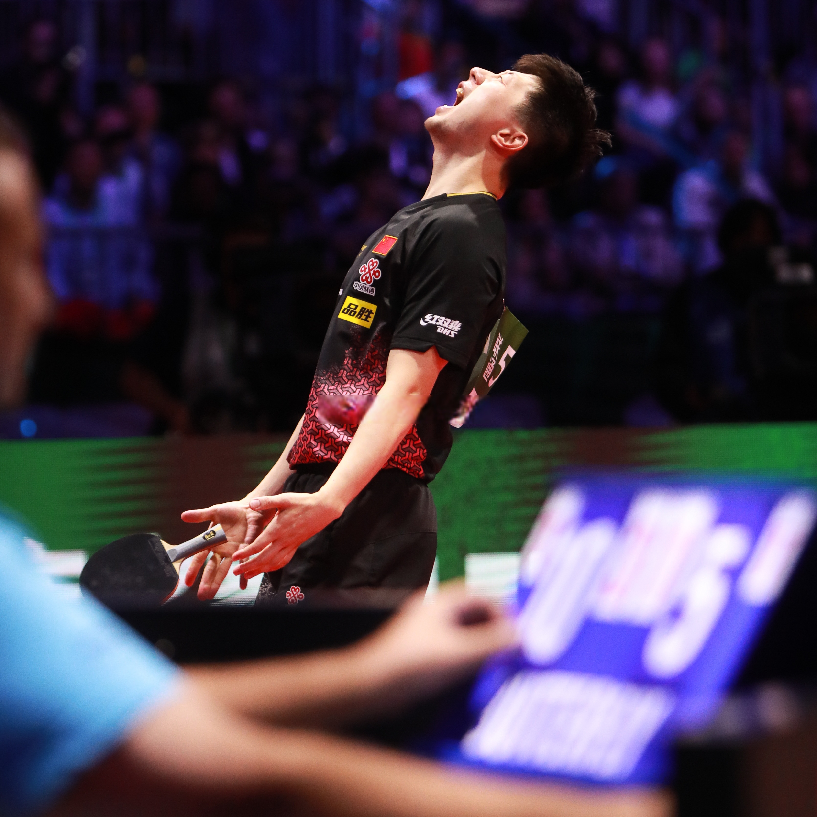 包含比利时乒乓球队绝地反击韩国乒乓球队，马龙绝境逆转的词条