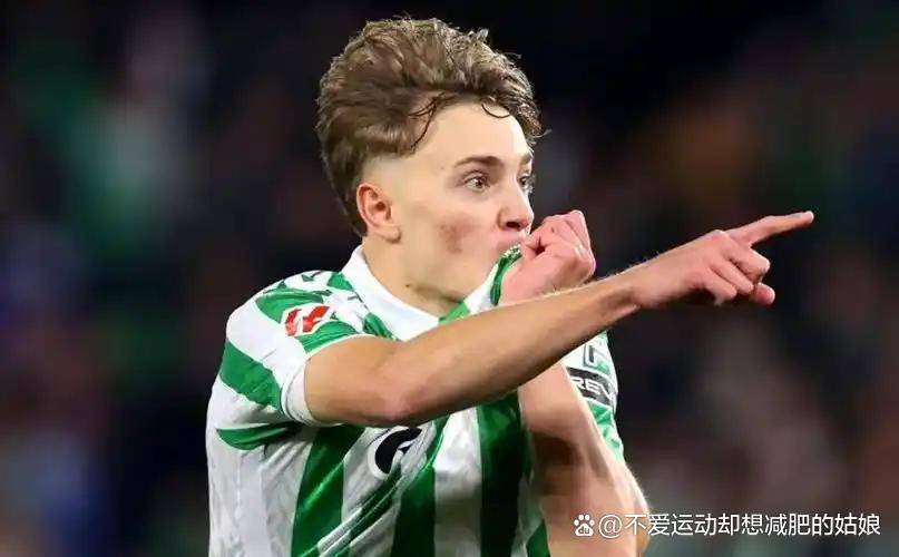 PG电子官方-意大利积分榜上占据领先地位，晋级前景光明的简单介绍