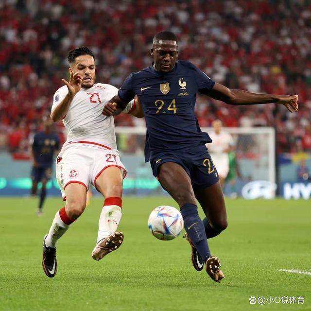 PG电子娱乐-日本队险胜法国队，奥恰洛夫统治全场的简单介绍