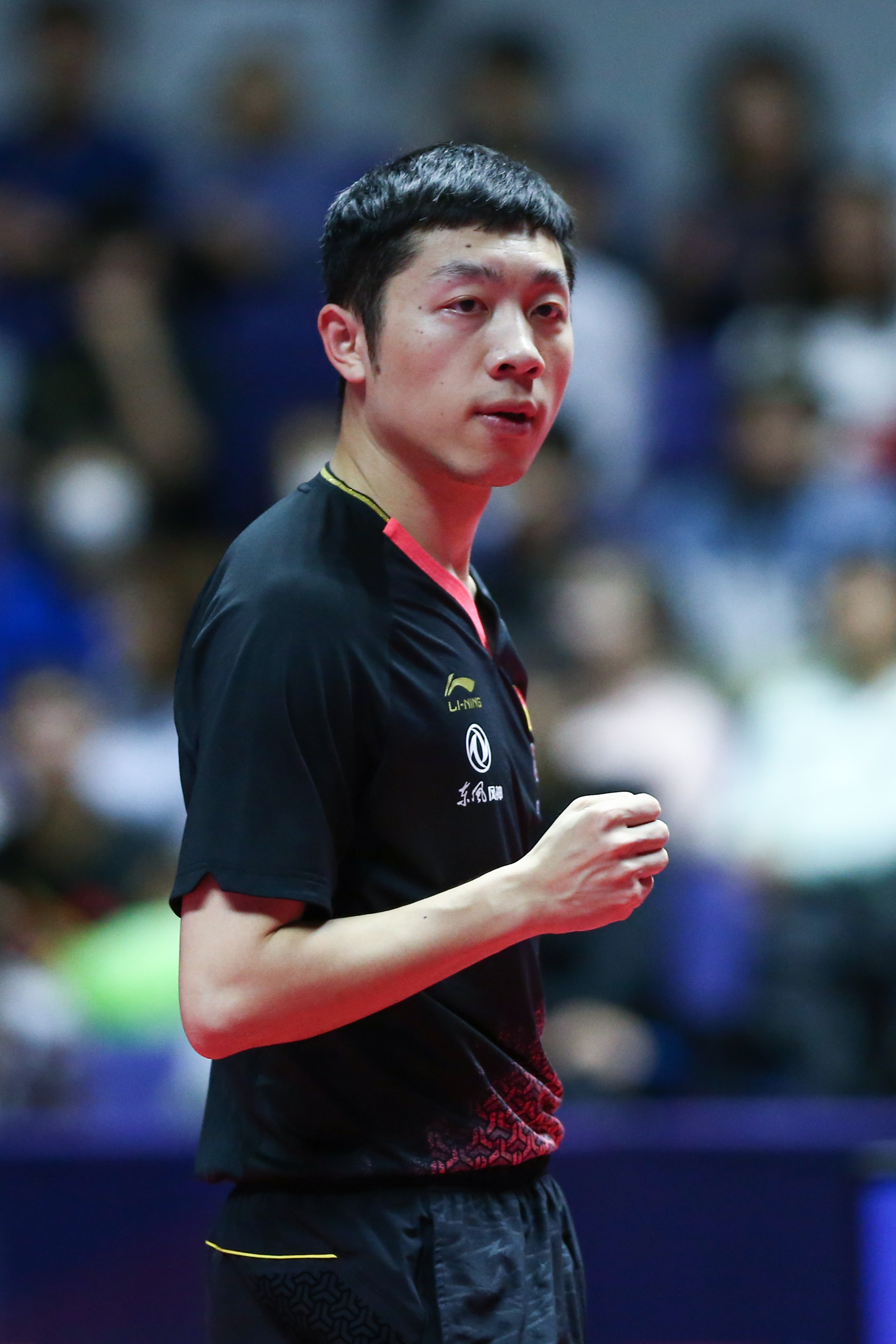 日本乒乓球队翻盘中国乒乓球队，许昕打破历史纪录的简单介绍