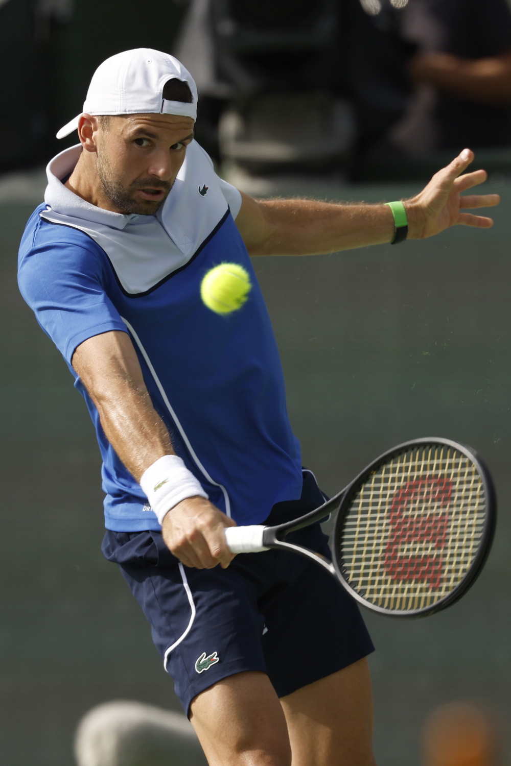 关于美网逆转法网，梅德韦杰夫高光表现的信息