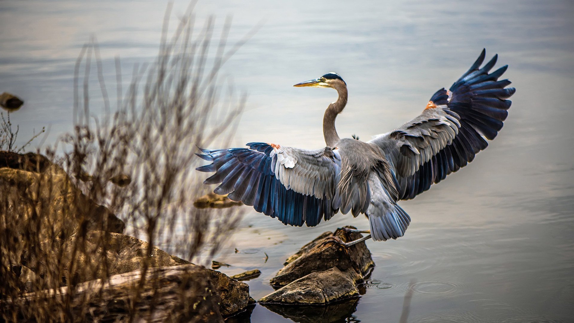 跨界竞技场，湖人精神与东契奇时刻—唯一性的胜利哲学